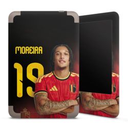 Foils for E-Readers matt