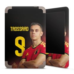 Foils for E-Readers matt