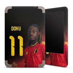 Foils for E-Readers matt