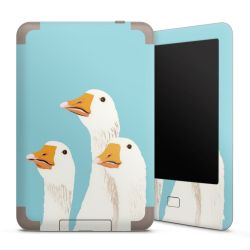 Folien für E-Reader matt