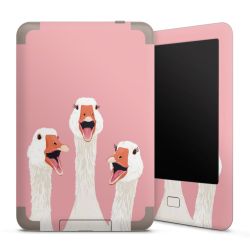 Folien für E-Reader matt