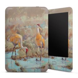 Folien für E-Reader matt