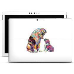 Foils for Laptops matt