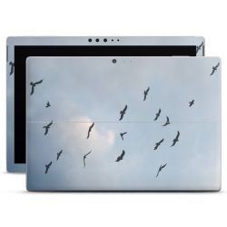 Foils for Laptops matt