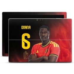 Foils for Laptops matt