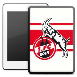 Folien für E-Reader matt