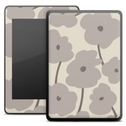 Foils for E-Readers matt