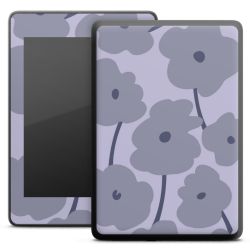 Foils for E-Readers matt