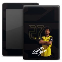 Foils for E-Readers matt