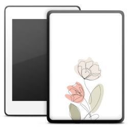 Foils for E-Readers matt