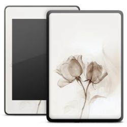 Foils for E-Readers matt