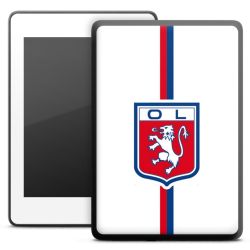 Foils for E-Readers matt