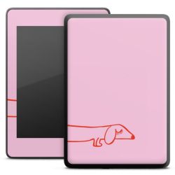 Foils for E-Readers matt