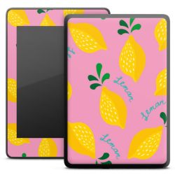 Foils for E-Readers matt