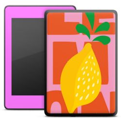 Foils for E-Readers matt