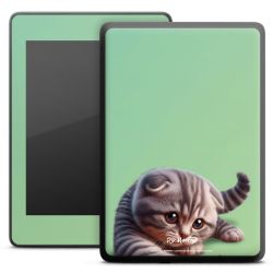 Foils for E-Readers matt