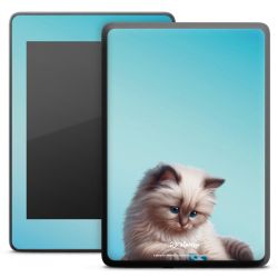 Foils for E-Readers matt