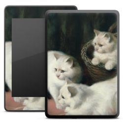 Foils for E-Readers matt