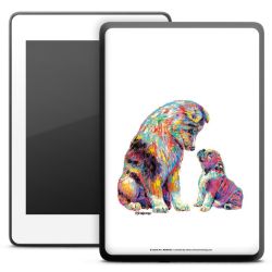 Foils for E-Readers matt