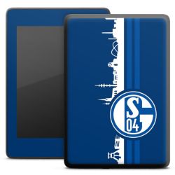 Foils for E-Readers matt