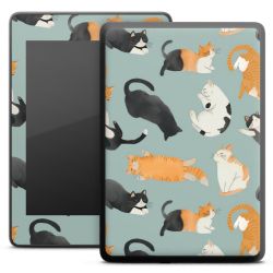 Foils for E-Readers matt