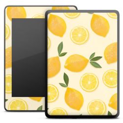 Foils for E-Readers matt