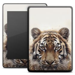 Foils for E-Readers matt