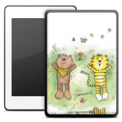 Foils for E-Readers matt