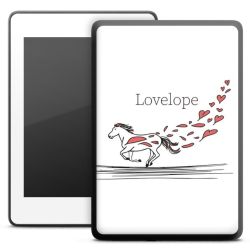 SkinVinyyli E-kirjan Lukulaitteen mattapinta