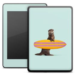 Foils for E-Readers matt