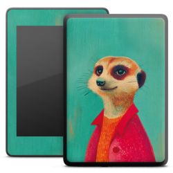 Foils for E-Readers matt