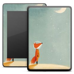 Foils for E-Readers matt