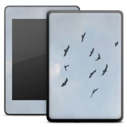 Foils for E-Readers matt