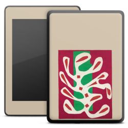 Foils for E-Readers matt