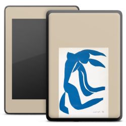 Foils for E-Readers matt