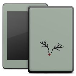 Foils for E-Readers matt