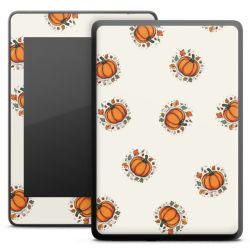 Foils for E-Readers matt