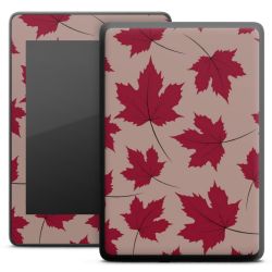 Foils for E-Readers matt