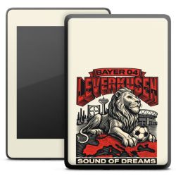 Folien für E-Reader matt