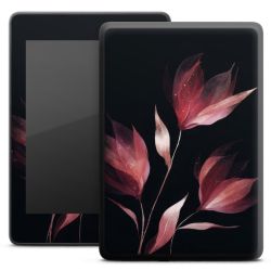 Foils for E-Readers matt