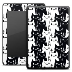 Foils for E-Readers matt