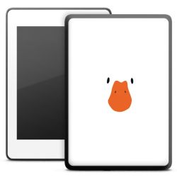 Foils for E-Readers matt