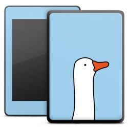 Foils for E-Readers matt