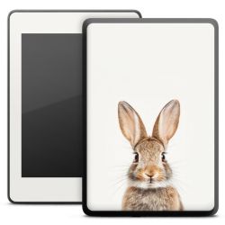 Foils for E-Readers matt