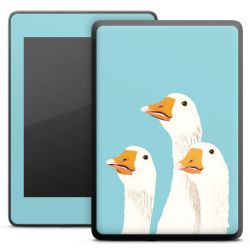 Foils for E-Readers matt