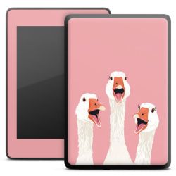 Foils for E-Readers matt