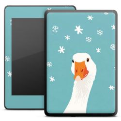 Foils for E-Readers matt