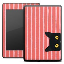 Foils for E-Readers matt