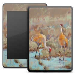 Foils for E-Readers matt