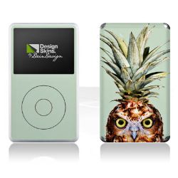 Pineapple Owl
